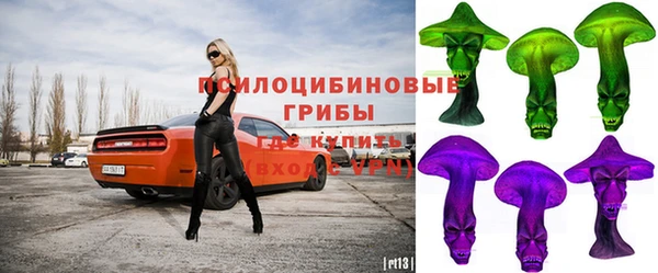 твердый Семикаракорск