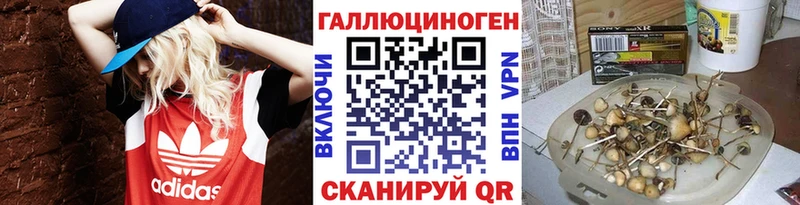 Псилоцибиновые грибы Psilocybine cubensis  наркотики  МЕГА рабочий сайт  Галич 